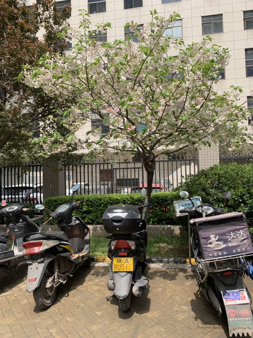 微信图片_20190412214911.jpg 微信图片_20190412214911.jpg