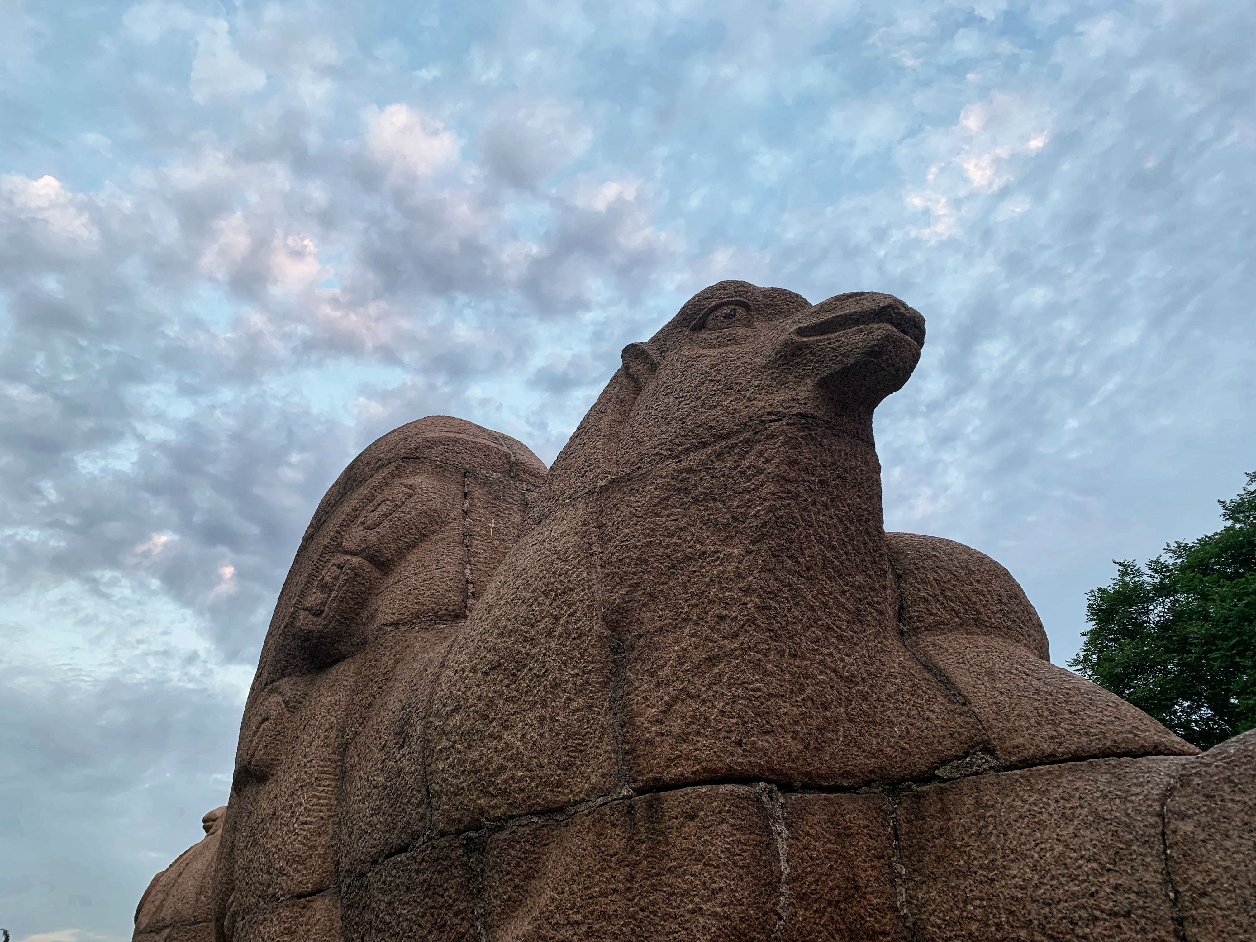 IMG_3203(20190607-205717).jpg